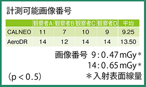 図2　視覚評価の結果