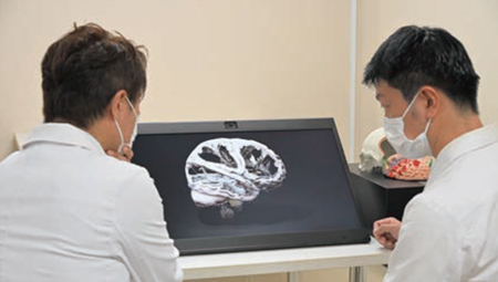 CTやMRIなどのDICOM画像も立体視が可能で，医学教育に活用できる。