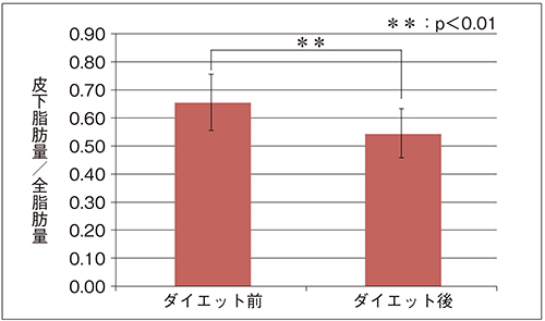 図3　皮下脂肪量の変化