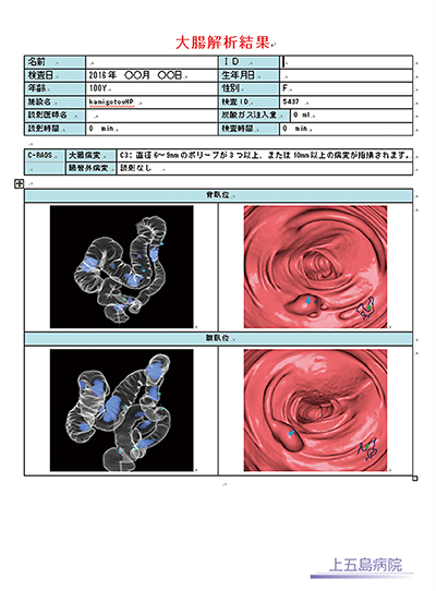 図1　大腸解析結果レポート