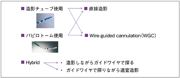 図5　胆管挿管法