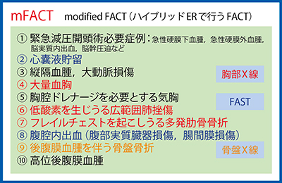 図2　mFACT（modified FACT：ハイブリッドERで行うFACT）で評価すべき10項目