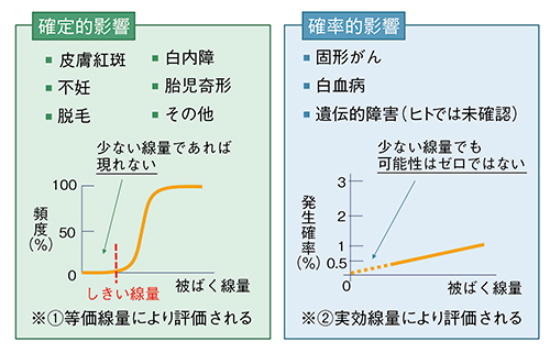 図6　人体への影響の分類