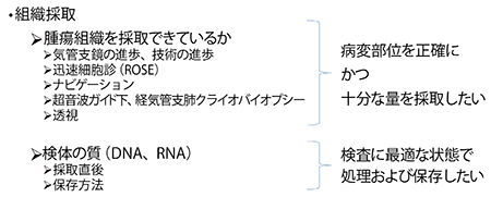 図1　気管支鏡下生検において考慮すべき点