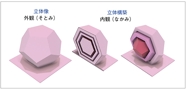 図3　立体像から立体構築を類推する