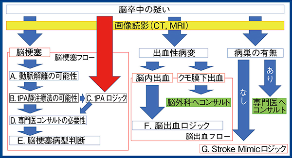 図1　脳卒中疑い症例の診断アルゴリズム