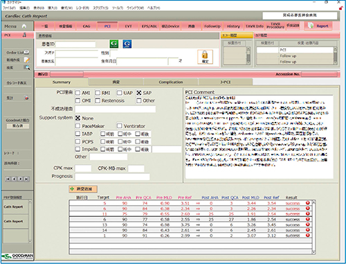 図1　PCIのカテサマリ画面