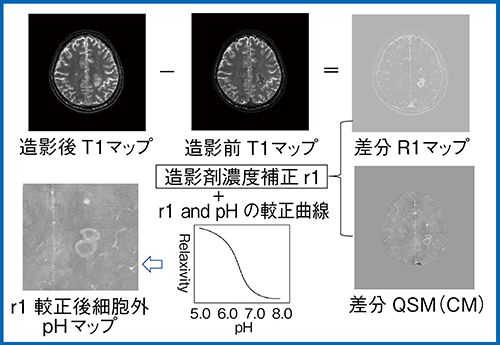 図7　造影剤緩和能（r1）マップ作成のフローチャート
