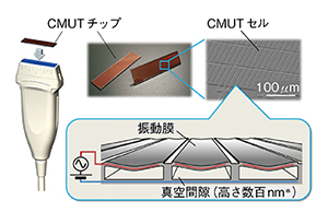 図2　CMUTリニアSML44プローブと内部構造