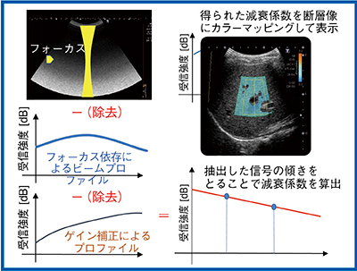 図3　ATIの原理