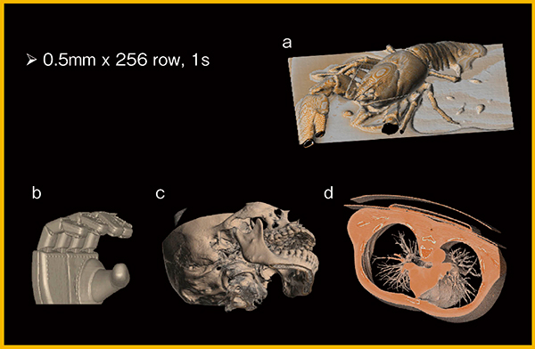 図3　面検出器CTプロトタイプ1号機の画像 a：ザリガニ　b：マジックハンド　c：顎　d：肺