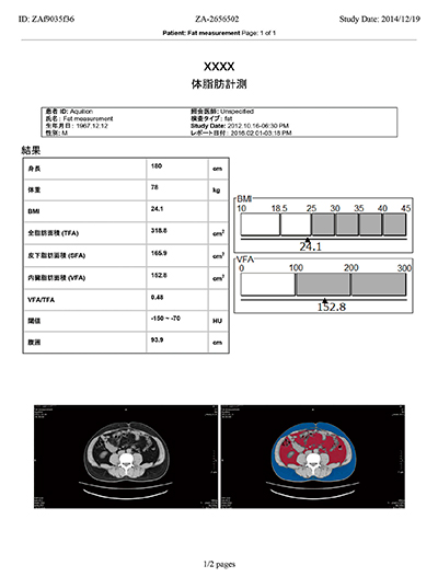 図3　体脂肪面積計測解析結果レポート