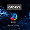 CAD EYE
