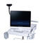 SONIMAGE HS2