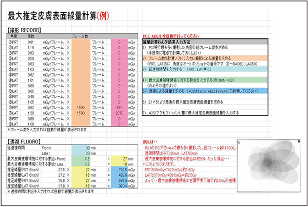 図1　皮膚線量算出表