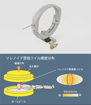頭部固定具に装着する頭部用分割コイル