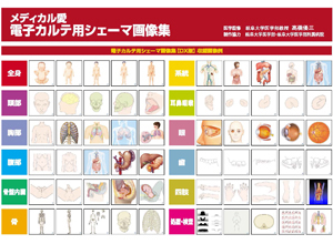 電子カルテ用メディカルシェーマ画像集
