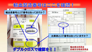 コンテンツ例2
