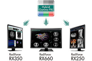 Hybrid Gamma PXL Hybrid Gamma PXL