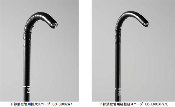 下部消化管用拡大スコープ EC-L600ZW7 下部消化管用極細径スコープ EC-L600XP7/L 下部消化管用拡大スコープ EC-L600ZW7 下部消化管用極細径スコープ EC-L600XP7/L