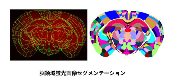 解析画像例