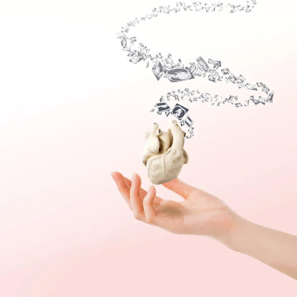 MedipreX 軟質実物大3D心臓モデル MedipreX 軟質実物大3D心臓モデル