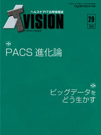 ITvision No.29