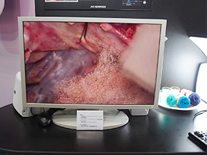 IPS液晶パネルを採用したCCL244/AR
