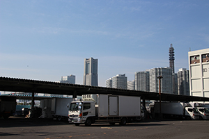みなとみらいの対岸にある，横浜の台所「中央卸売市場」 築地のような鮮魚に加えて野菜の市場もあります。 周辺にはコットンハーバーやポートサイド地区の高層マンション群が臨める。 場内の外部の人も入れる食堂が人気。