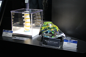 Ziostation2のSTLファイルから3Dプリンタ出力した臓器モデルを展示