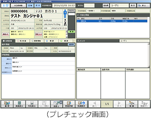 ShadeQuest/RIS（プレチェック画面）