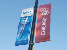 RSNA2012