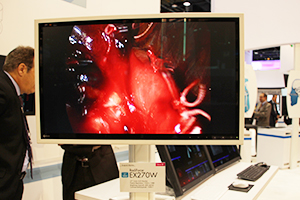 機能を絞ってスリム化を図った「RadiForce EX270W」