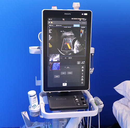 幅広い領域のポイントオブケアに対応する「Flash 5100」（日本国内での展開は未定）