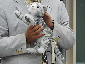 低コストで導入できるなでなでねこちゃん